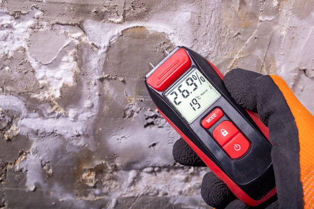 Best Affordable Mold Removal  in Clendenin, WV