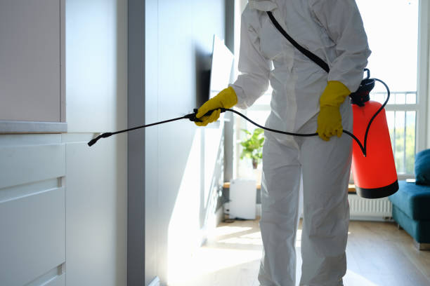 Best Certified Mold Removal  in Clendenin, WV