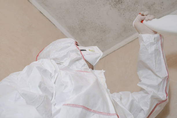 Office Mold Removal Services in Clendenin, WV